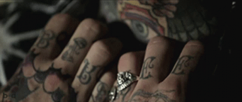 Jimmy Quaitance GIF