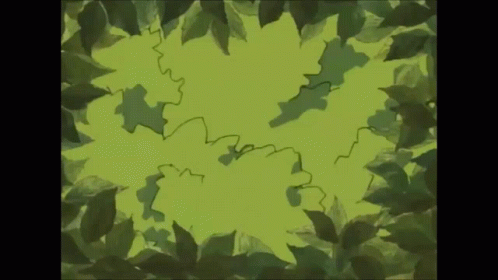 Jiraiya Take A Peek GIF