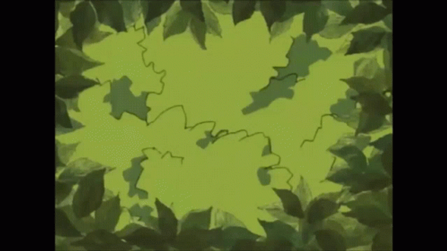 Jiraiya Take A Peek GIF