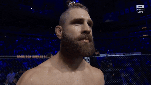 Jiri Prochazka And Alex Pereira Match GIF