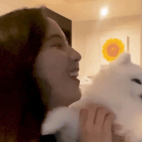 Jisoo Hugging Dogs GIF