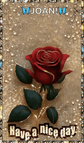 Joan Have A Nice Day With Red Rose And Butterflies GIF