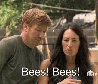 Joanna Gaines Parrying From Bees GIF