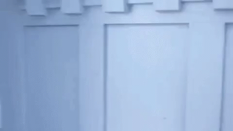 Joanne The Scammer Conceited Welcome GIF
