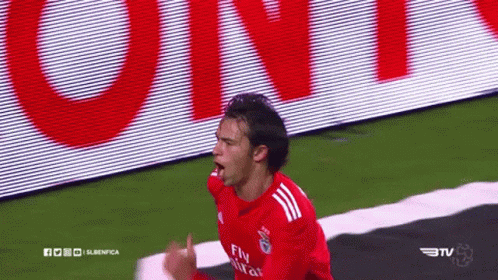 Joao Felix Knee Slide GIF