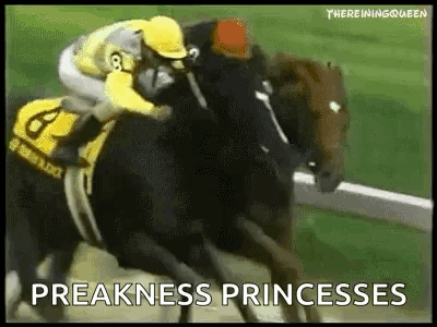 Jockey Riding Horse in Preakness Race