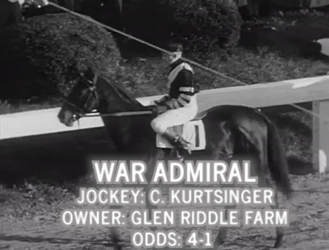 Jockey Riding Horse Number 1 GIF