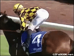 Jockey Riding Horse Number 4 GIF