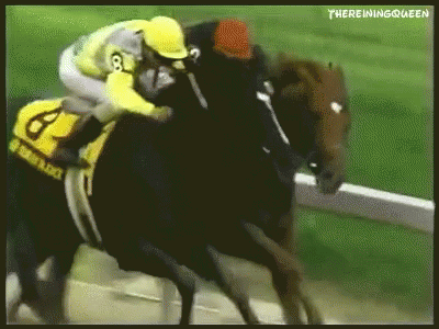 Jockey Riding Horse Number 8 GIF