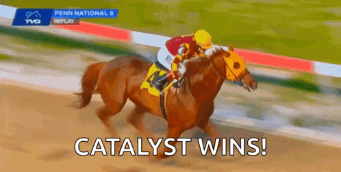 Jockey Riding Winning Race Horse