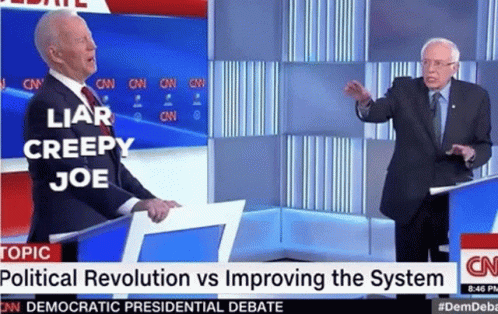 Joe Biden And Bernie Sanders Political Revolution Vs Improving System Debate GIF