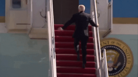 Joe Biden Going Up Stairs After Falling GIF