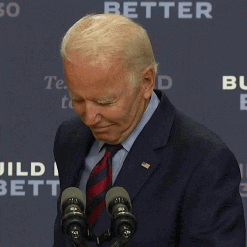 Joe Biden Have Mercy GIF