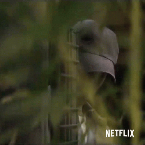 Joe Goldberg Hiding Watching From Afar GIF