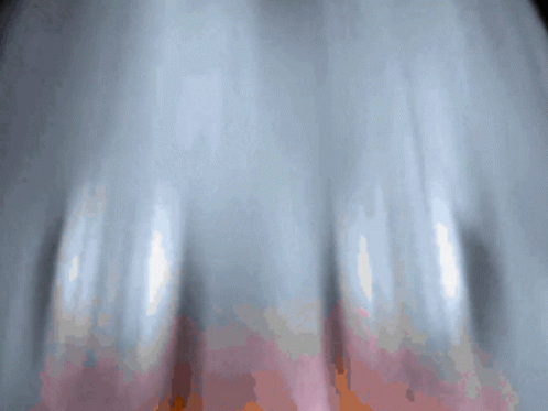 Joe Mama Duck Meme GIF