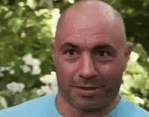 Joe Rogan Abandon Thread GIF