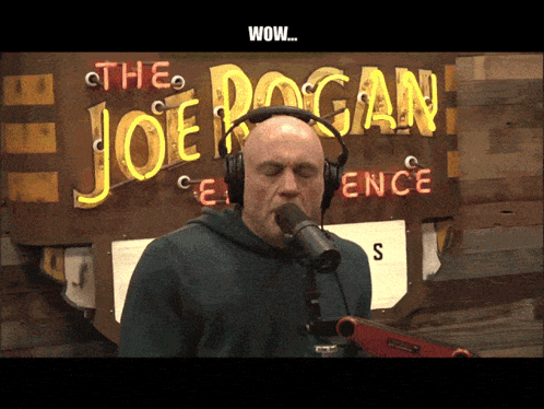 Joe Rogan Im Confused GIF