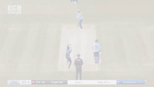 Joe Root Cover Drive Cricket GIF