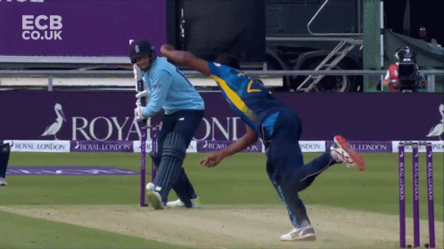 Joe Root Cricket Batting Hit GIF