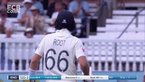 Joe Root Crowd Cheering GIF