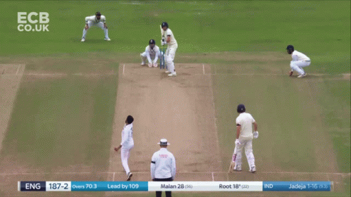 Joe Root England India Match GIF