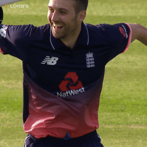 Joe Root Mark Wood Jump Celebration GIF