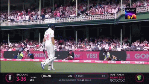 Joe Root Walk Out Field GIF