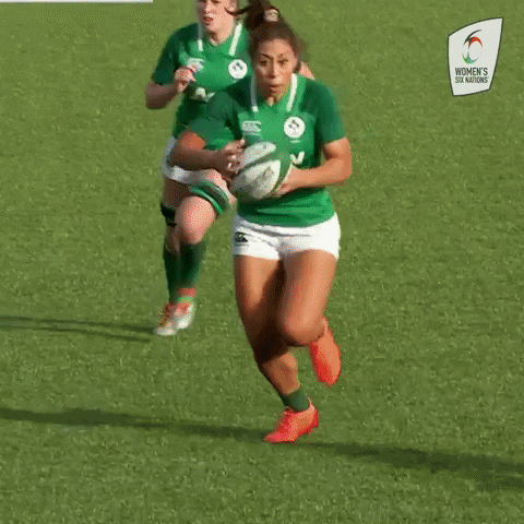 Joe Schmidt Womens Rugby GIF