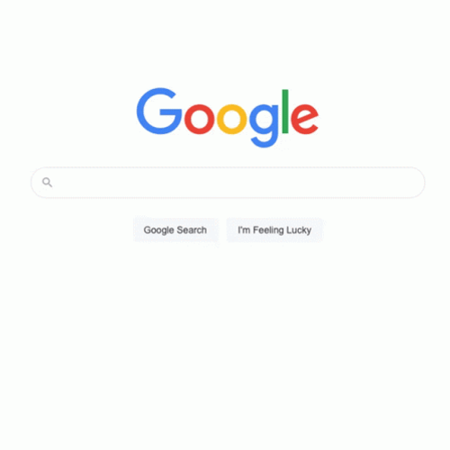 Joe Search Google Or Type A Url Meme GIF