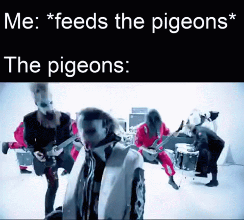 Joey Jordison The Pigeons GIF