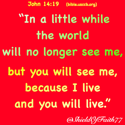John 14:19 World Won't See Me, You Will GIF