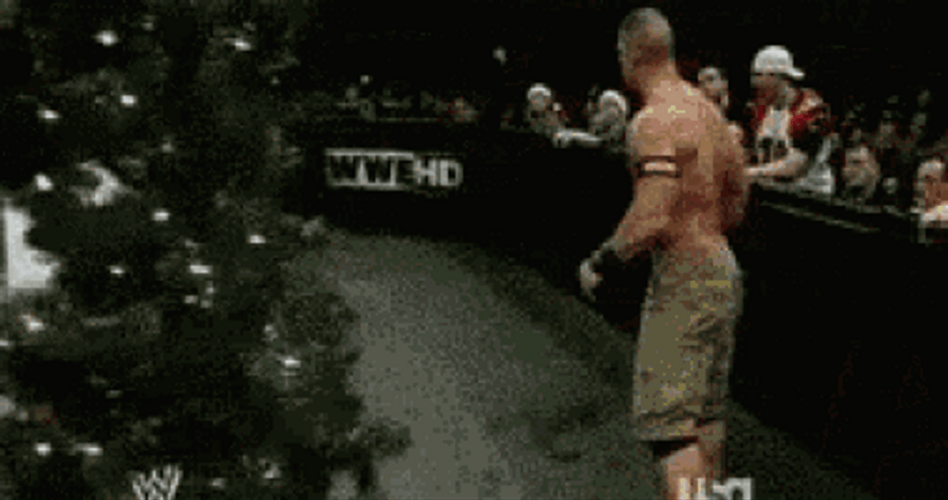 John Cena Christmas Gift Wwe GIF