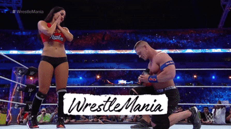 John Cena Nikki Bella Proposal GIF