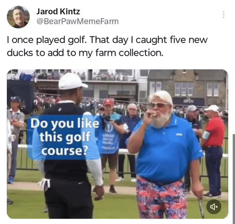 John Daly Golf Golfing Duck Farm GIF