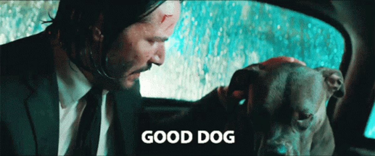 John Wick Caring For Dog GIF