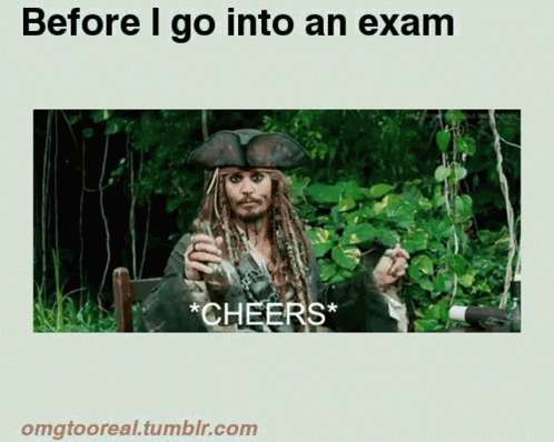 Johnny Depp Cheers Meme GIF