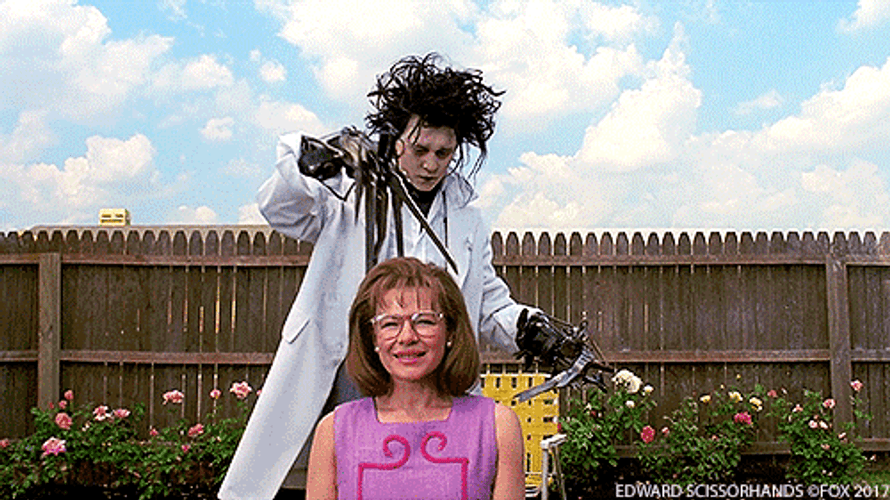Johnny Depp Edward Scissorhands Movie GIF