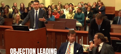 Johnny Depp Trial Objection Leading GIF