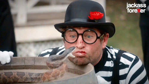 Johnny Knoxville Snake Boop GIF