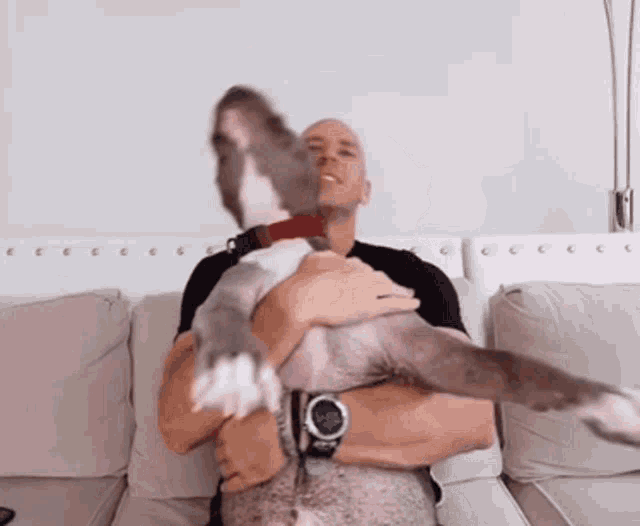 Johnny Sins And Dog GIF