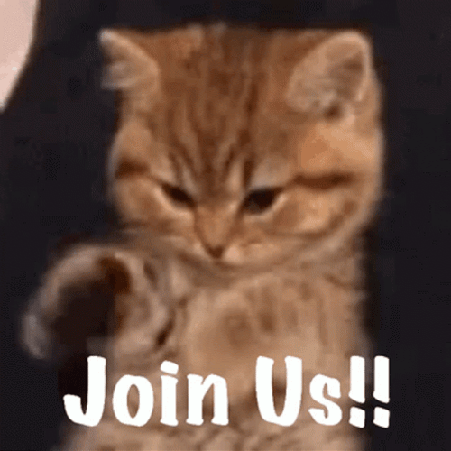 Join Us Cute Ginger Kitten Waving GIF