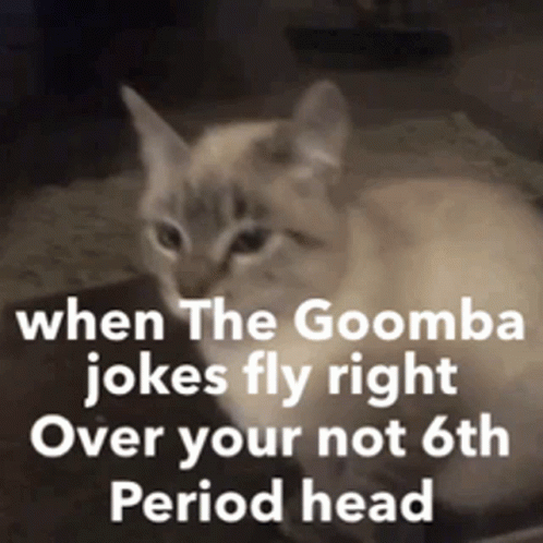 Joke Over Head Cat Looking Up GIF