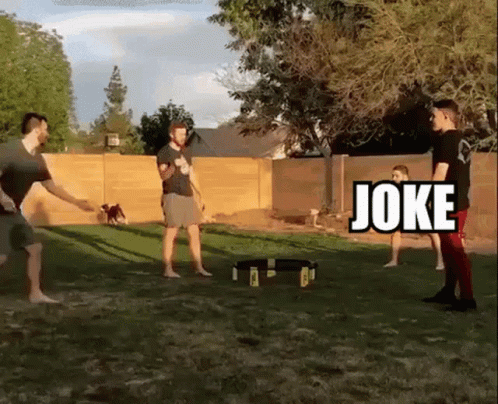 Joke Over Head Dog Chasing Shadow GIF