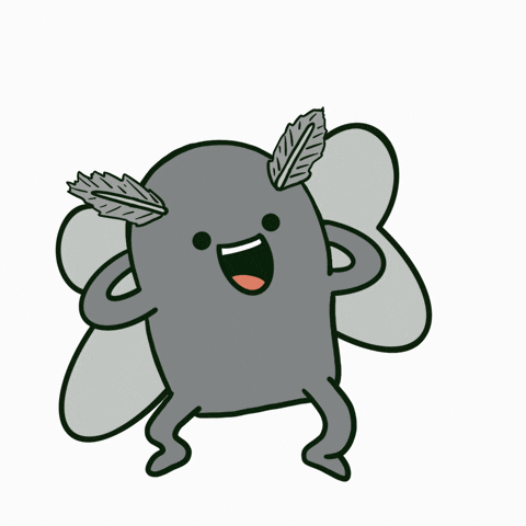 Jollu Gray Moth Dancing GIF