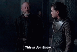 Jon Snow Being Introduced Game Of Thrones GIF