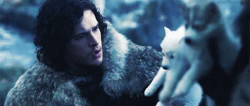 Jon Snow Holding A Puppy GIF