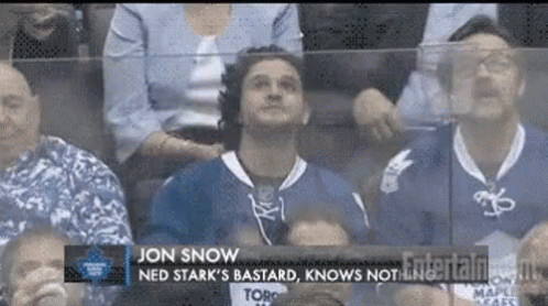 Jon Snow Kit Harrington Cheering GIF