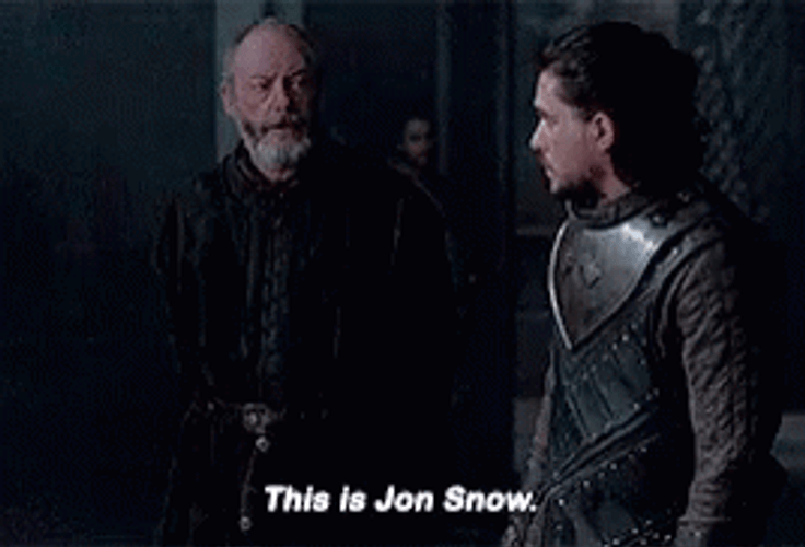Jon Snow Being Introduced Game Of Thrones GIF