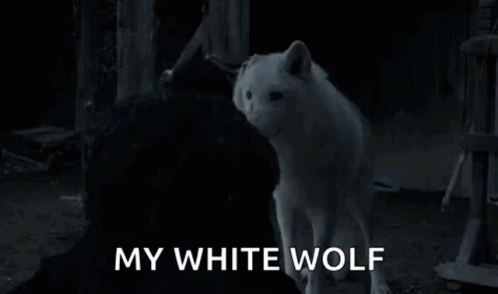 Jon Snow Holding White Wolf Saying My White Wolf