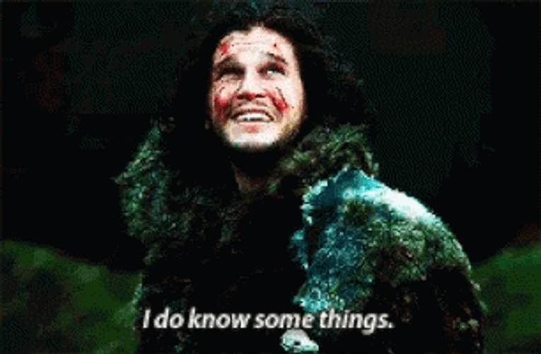 Jon Snow Knows Some Things GIF